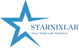 Logo-web-starnix